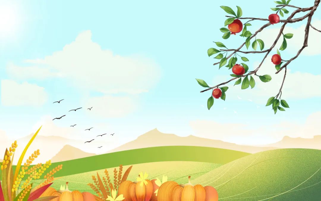 今日处暑，这份养生指南请收好→