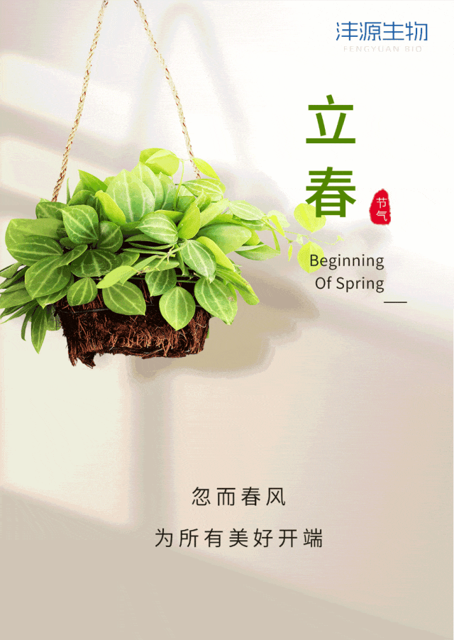 立春养生：顺应天时，开启健康新篇