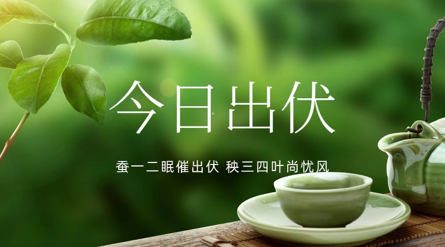 今日出伏，一年中“凶险”的36天来了，照顾好自己和家人！
